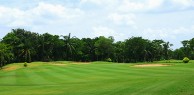 Dynasty Golf & Country Club - Green